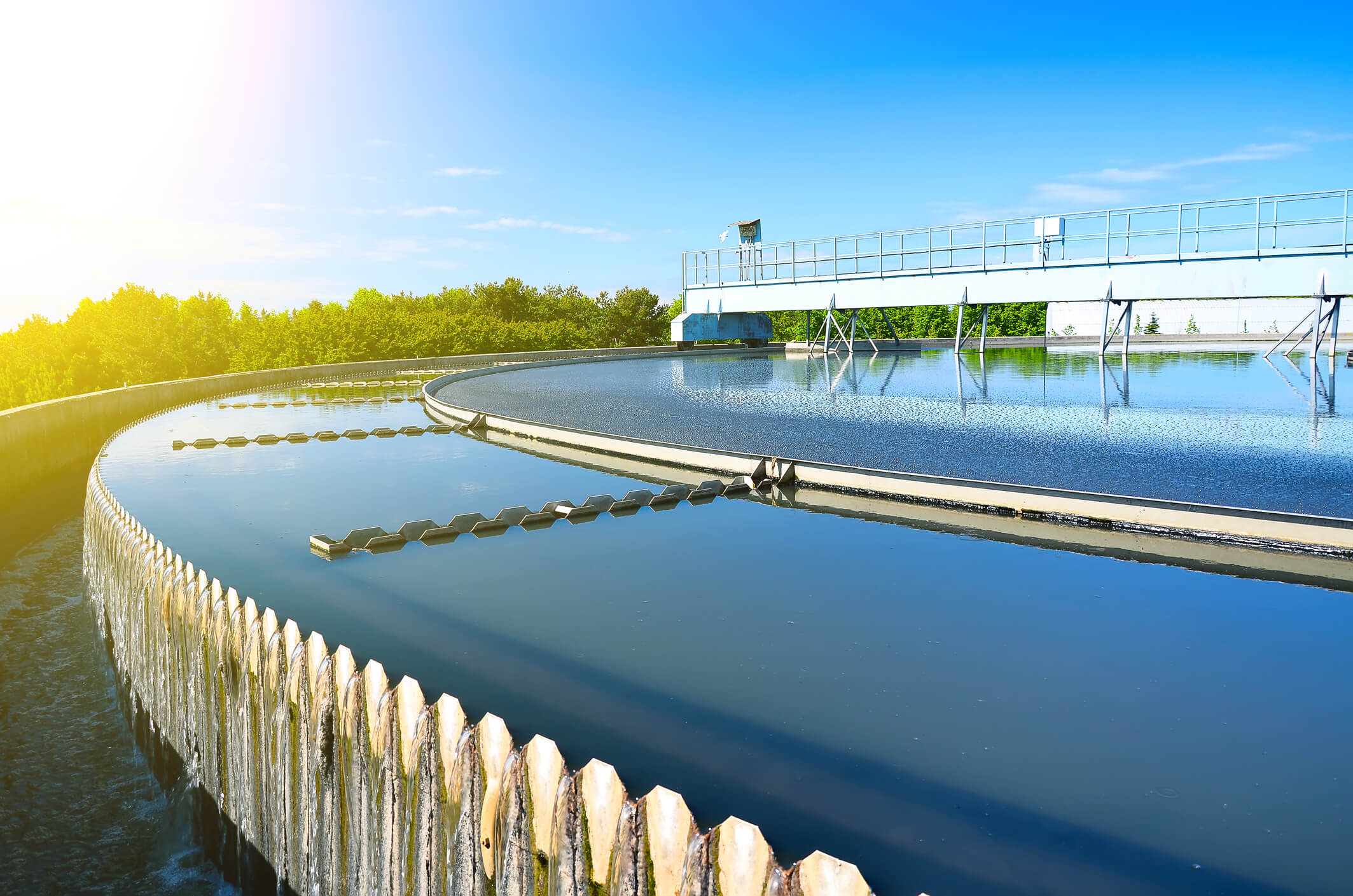 Water Regime gallery image 1