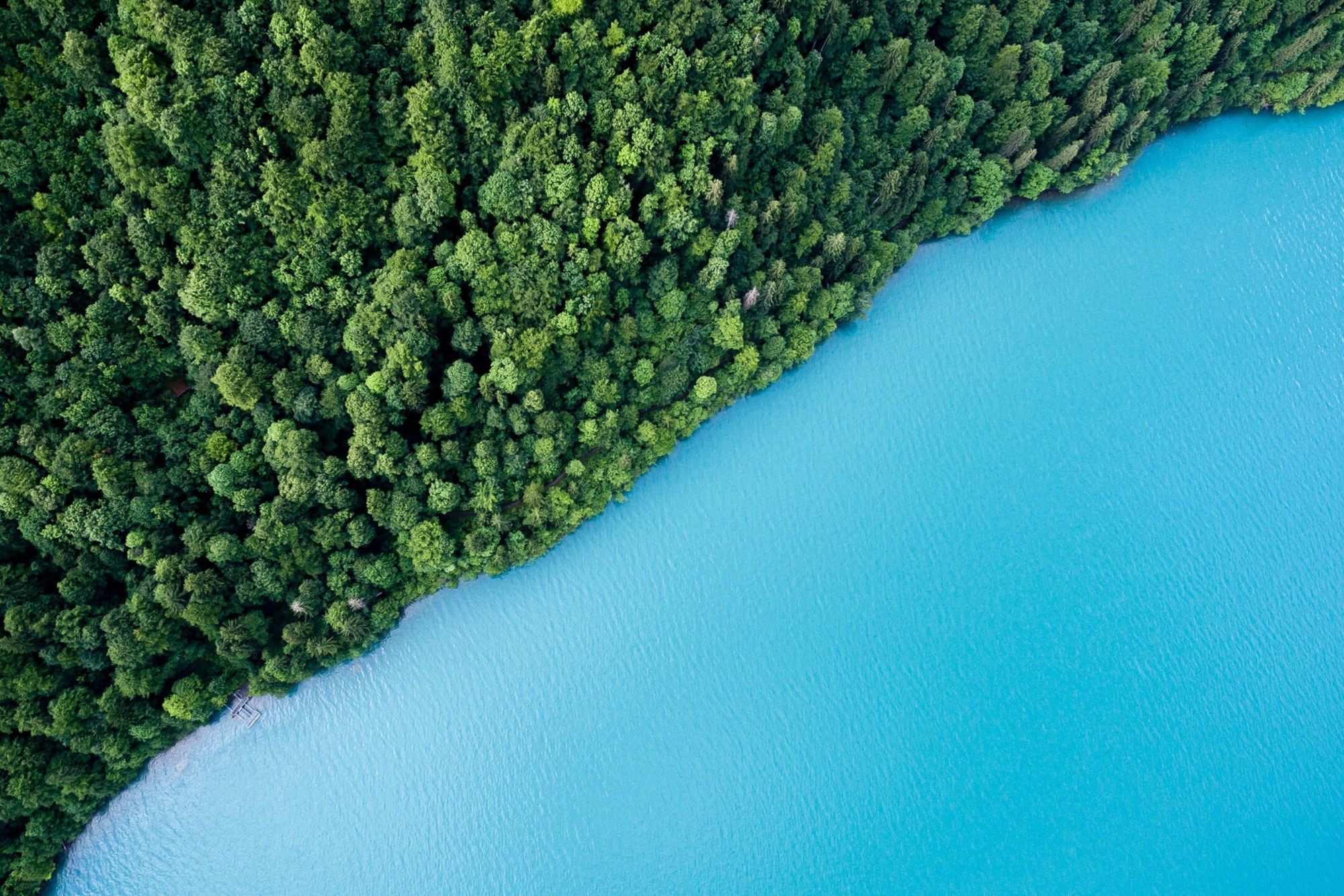 Water Regime — Our Core Values